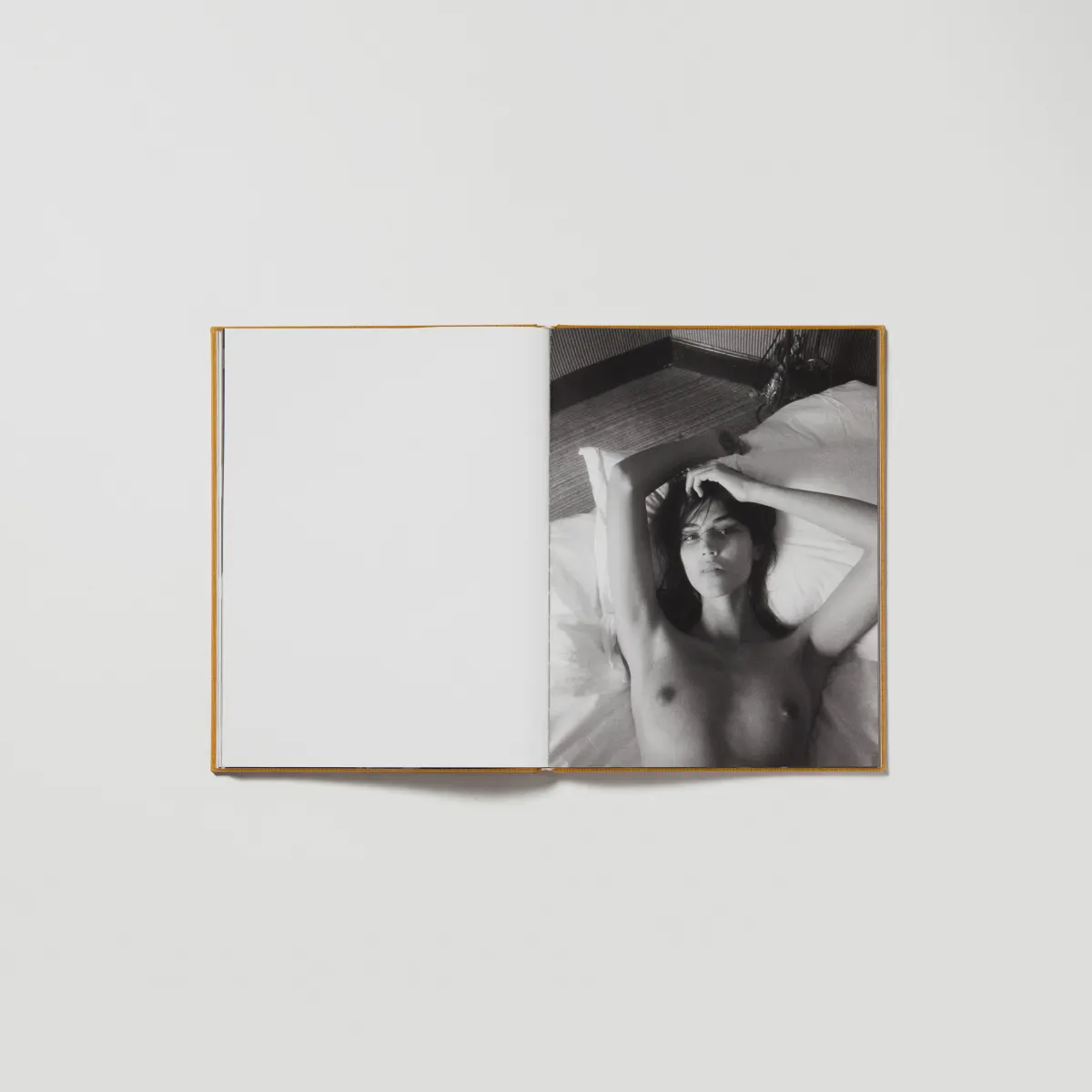 Saint Laurent, Purienne Book